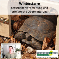 Onlinekurse für Landschildkröten von Thorsten Geier