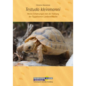 Testudo kleinmanni - Haltung der Ägyptischen Landschildkröte